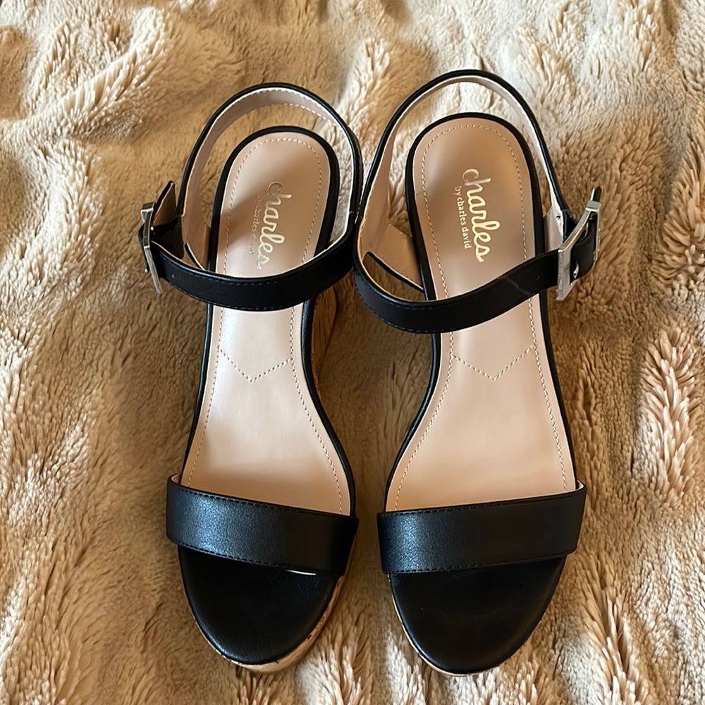 New Charles by Charles David wedge Sandals size 7.5